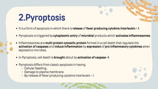 2.Pyroptosis
It is a form of apoptosis in which there is release of fever producing cytokine Interleukin - I.
Pyroptosis is triggered by cytoplasmic entry of microbial products which activates inflammasomes.
Inflammasomes are multi protein cytosolic protein formed in a cell death that regulate the
activation of caspases and induce inflammation by expression of pro inflammatory cytokines when
exposed to microbes.
In Pyroptosis, cell death is brought about by activation of caspase -I.
Pyroptosis differs from classic apoptosis in having;
Cellular Swelling..
Damage to plasma membrane.
By release of fever producing cytokine interleukin - I
 