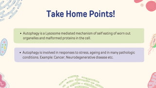 Take Home Points!
Autophagy is a Lysosome mediated mechanism of self eating of worn out
organelles and malformed proteins in the cell.
Autophagy is involved in responses to stress, ageing and in many pathologic
conditions. Example: Cancer, Neurodegenerative disease etc.
 