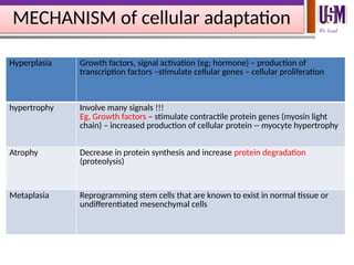 Cellular Adaptation, Intracellular Accumulations and Cell Aging.pptx