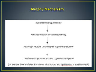 Atrophy Mechanism
 