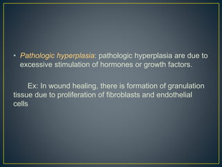 • Pathologic hyperplasia: pathologic hyperplasia are due to
excessive stimulation of hormones or growth factors.
Ex: In wound healing, there is formation of granulation
tissue due to proliferation of fibroblasts and endothelial
cells
 