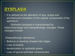 • It is defined as the alteration of size, shape and
architectural orientation of the cellular components of the
epithelium
Epithelial dysplasia is characterised by
histomorphologic and histopathologic changes. These
changes include:
Histopathologic alterations:
• Bulbous or teardrop shaped rete ridges.
• Loss of polarity
• keratinization or epithelial pearls.
• Loss of typical epithelial cohesiveness.
 