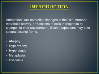 Adaptations are reversible changes in the size, number,
metabolic activity, or functions of cells in response to
changes in their environment. Such adaptations may take
several distinct forms.
• Atrophy
• Hypertrophy
• Hyperplasia
• Metaplasia
• Dysplasia
 