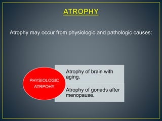 Atrophy may occur from physiologic and pathologic causes:
Atrophy of brain with
aging.
Atrophy of gonads after
menopause.
PHYSIOLOGIC
ATRPOHY
 