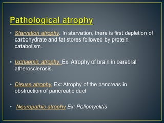 • Starvation atrophy. In starvation, there is first depletion of
carbohydrate and fat stores followed by protein
catabolism.
• Ischaemic atrophy. Ex: Atrophy of brain in cerebral
atherosclerosis.
• Disuse atrophy. Ex: Atrophy of the pancreas in
obstruction of pancreatic duct
• Neuropathic atrophy Ex: Poliomyelitis
 