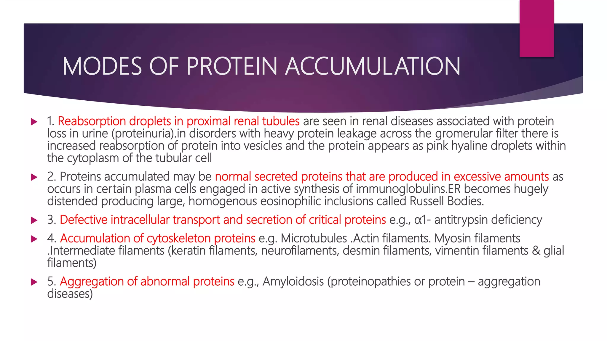 MODES OF PROTEIN ACCUMULATION
 1. Reabsorption droplets in proximal renal tubules are seen in renal diseases associated with protein
loss in urine (proteinuria).in disorders with heavy protein leakage across the gromerular filter there is
increased reabsorption of protein into vesicles and the protein appears as pink hyaline droplets within
the cytoplasm of the tubular cell
 2. Proteins accumulated may be normal secreted proteins that are produced in excessive amounts as
occurs in certain plasma cells engaged in active synthesis of immunoglobulins.ER becomes hugely
distended producing large, homogenous eosinophilic inclusions called Russell Bodies.
 3. Defective intracellular transport and secretion of critical proteins e.g., α1- antitrypsin deficiency
 4. Accumulation of cytoskeleton proteins e.g. Microtubules .Actin filaments. Myosin filaments
.Intermediate filaments (keratin filaments, neurofilaments, desmin filaments, vimentin filaments & glial
filaments)
 5. Aggregation of abnormal proteins e.g., Amyloidosis (proteinopathies or protein – aggregation
diseases)
 