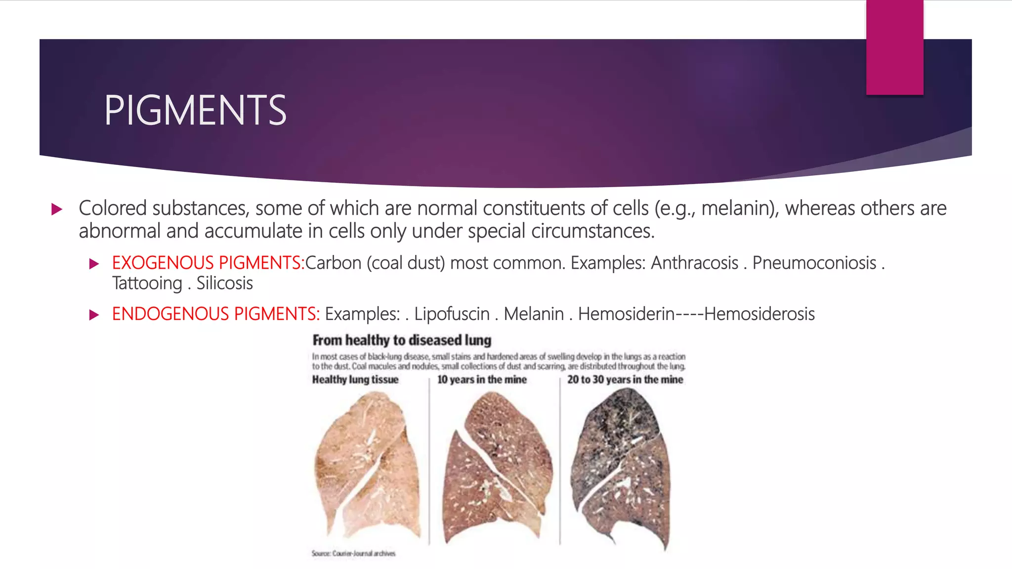 PIGMENTS
 Colored substances, some of which are normal constituents of cells (e.g., melanin), whereas others are
abnormal and accumulate in cells only under special circumstances.
 EXOGENOUS PIGMENTS:Carbon (coal dust) most common. Examples: Anthracosis . Pneumoconiosis .
Tattooing . Silicosis
 ENDOGENOUS PIGMENTS: Examples: . Lipofuscin . Melanin . Hemosiderin----Hemosiderosis
 