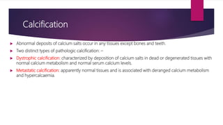 Cellular adaptations & accumulations | PPTX