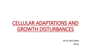 CELLULAR ADAPTATIONS AND
GROWTH DISTURBANCES
BY Dr ZAID WANI
MVSc
 
