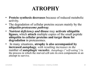 CELLULAR ADAPTATIONS OF GOWTH AND DIFFERRENTIATION.ppt