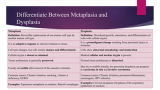 Differentiate Between Metaplasia and
Dysplasia
Metaplasia Dysplasia
Definition: Reversible replacement of one mature cell type by
another mature cell type.
Definition: Disordered growth, maturation, and differentiation of
cells with cellular atypia.
It is an adaptive response to chronic irritation or stress.
It is a premalignant change resulting from persistent injury or
irritation.
Cell type changes, but cells remain mature and differentiated. Cells show abnormal morphology and maturation.
Cellular atypia is absent or minimal. Marked cellular and nuclear atypia is present.
Tissue architecture is generally preserved. Normal tissue architecture is disturbed.
Usually reversible after removal of the causative stimulus.
May be reversible initially, but persistent dysplasia can progress
to carcinoma in situ and invasive carcinoma.
Common causes: Chronic irritation, smoking, vitamin A
deficiency, GERD.
Common causes: Chronic irritation, persistent inflammation,
carcinogens, HPV infection.
Examples: Squamous metaplasia in smokers; Barrett's esophagus.
Examples: Cervical dysplasia; Dysplasia of the respiratory
epithelium in smokers.
 
