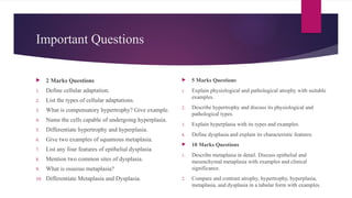 Important Questions
 2 Marks Questions
1. Define cellular adaptation.
2. List the types of cellular adaptations.
3. What is compensatory hypertrophy? Give example.
4. Name the cells capable of undergoing hyperplasia.
5. Differentiate hypertrophy and hyperplasia.
6. Give two examples of squamous metaplasia.
7. List any four features of epithelial dysplasia.
8. Mention two common sites of dysplasia.
9. What is osseous metaplasia?
10. Differentiate Metaplasia and Dysplasia.
 5 Marks Questions
1. Explain physiological and pathological atrophy with suitable
examples.
2. Describe hypertrophy and discuss its physiological and
pathological types.
3. Explain hyperplasia with its types and examples.
4. Define dysplasia and explain its characteristic features.
 10 Marks Questions
1. Describe metaplasia in detail. Discuss epithelial and
mesenchymal metaplasia with examples and clinical
significance.
2. Compare and contrast atrophy, hypertrophy, hyperplasia,
metaplasia, and dysplasia in a tabular form with examples.
 