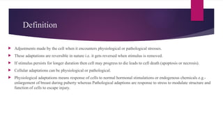 Definition
 Adjustments made by the cell when it encounters physiological or pathological stresses.
 These adaptations are reversible in nature i.e. it gets reversed when stimulus is removed.
 If stimulus persists for longer duration then cell may progress to die leads to cell death (apoptosis or necrosis).
 Cellular adaptations can be physiological or pathological.
 Physiological adaptations means response of cells to normal hormonal stimulations or endogenous chemicals e.g.-
enlargement of breast during puberty whereas Pathological adaptions are response to stress to modulate structure and
function of cells to escape injury.
 
