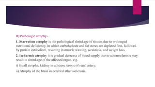 B) Pathologic atrophy-
1. Starvation atrophy is the pathological shrinkage of tissues due to prolonged
nutritional deficiency, in which carbohydrate and fat stores are depleted first, followed
by protein catabolism, resulting in muscle wasting, weakness, and weight loss.
2. Ischaemic atrophy it is gradual decrease of blood supply due to atherosclerosis may
result in shrinkage of the affected organ. e.g.
i) Small atrophic kidney in atherosclerosis of renal artery.
ii) Atrophy of the brain in cerebral atherosclerosis.
 