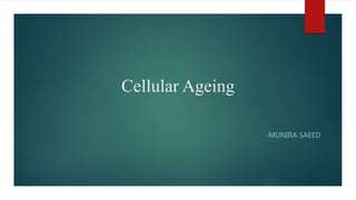Cellular Ageing
-MUNIRA SAEED
 