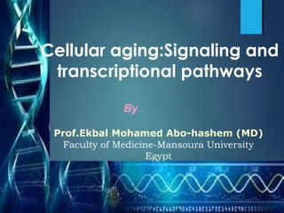 By
Prof.Ekbal Mohamed Abo-hashem (MD)
Faculty of Medicine-Mansoura University
Egypt
Cellular aging:Signaling and
transcriptional pathways
 