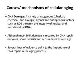 CELLULAR AGING (1).pptx