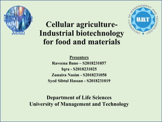 Cellular agriculture-
Industrial biotechnology
for food and materials
Presenters
Raveena Bano – S2018231057
Iqra - S2018231025
Zunaira Nasim - S2018231058
Syed Sibtul Hassan - S2018231019
Department of Life Sciences
University of Management and Technology
 
