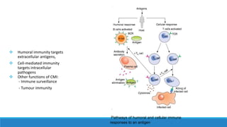 cellular and humoral components of immune System.vinu.pptx