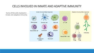 cellular and humoral components of immune System.vinu.pptx