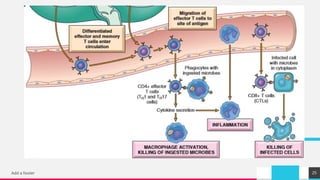 Cellular and Humoral Immunity original.pptx
