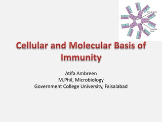 Atifa Ambreen
M.Phil, Microbiology
Government College University, Faisalabad
 