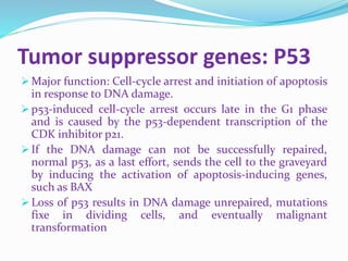 Cellular and molecular basis pathogenesis of cancer | PPTX
