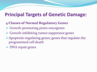 Cellular and molecular basis pathogenesis of cancer | PPTX