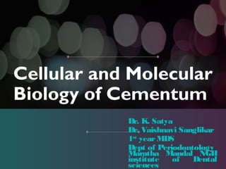 Cellular and Molecular
Biology of Cementum
Dr. K. Satya
Dr. Vaishnavi Sanglikar
1st
yearMDS
Dept of Periodontology
Maratha Mandal NGH
institute of Dental
sciences
 