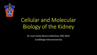 Cellular and Molecular
Biology of the Kidney
Dr. Juan Carlos Becerra Martínez, MD, FACC
Cardiólogo Intervencionista
 