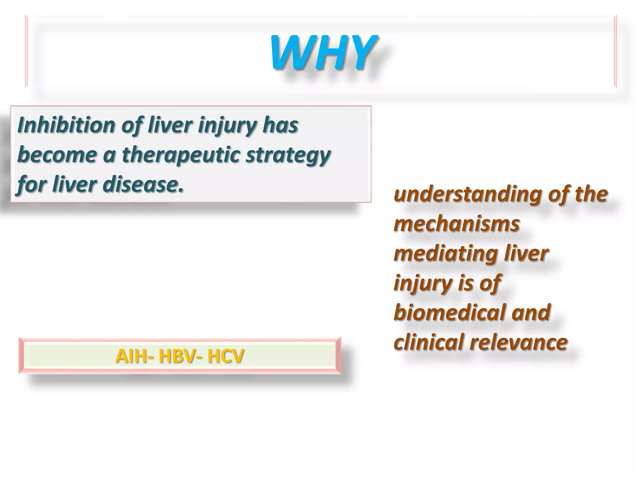 Cellular and molecular mechanisms of liver injury | PPTX