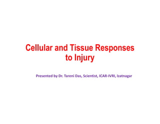 Cellular and Tissue Responses
to Injury
Presented by Dr. Tareni Das, Scientist, ICAR-IVRI, Izatnagar
 