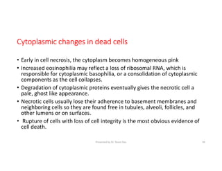 Cell Loss Cellular and tissue response to injury By Dr. Tareni Das.pdf