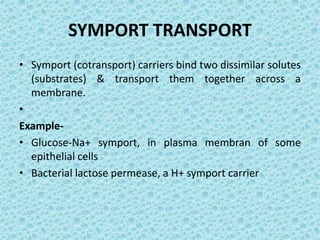 Cellular asign.gyan