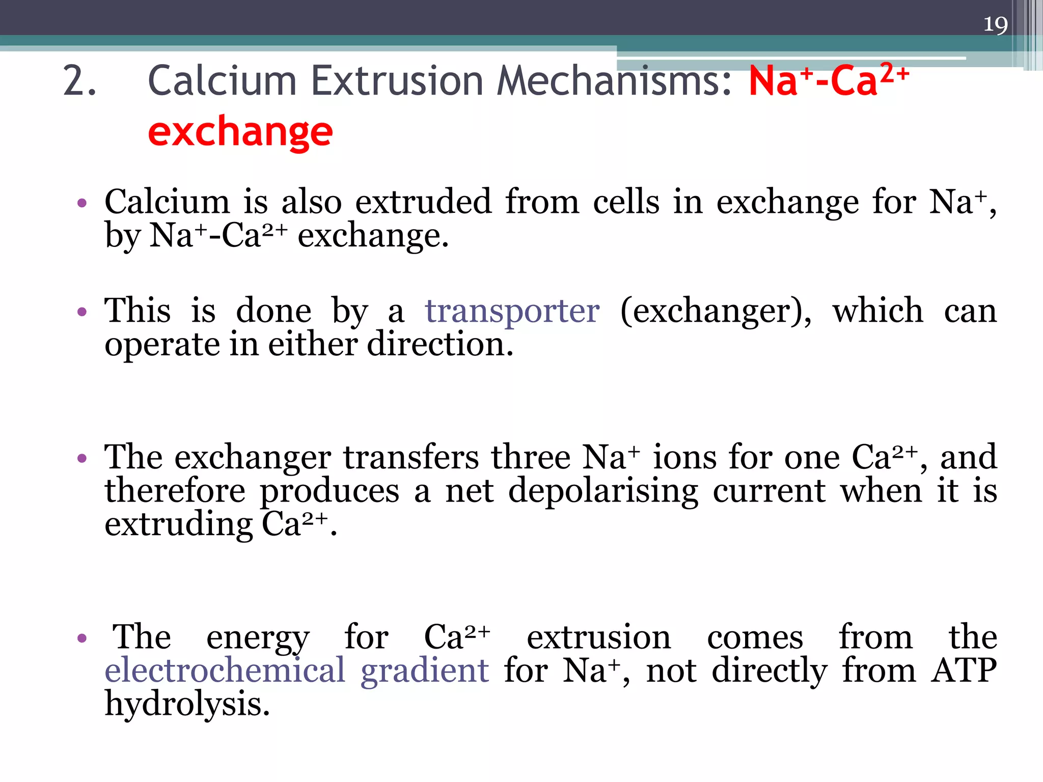 2. Calcium Extrusion Mechanisms: Na+-Ca2+
exchange
• Calcium is also extruded from cells in exchange for Na+,
by Na+-Ca2+ exchange.
• This is done by a transporter (exchanger), which can
operate in either direction.
• The exchanger transfers three Na+ ions for one Ca2+, and
therefore produces a net depolarising current when it is
extruding Ca2+.
• The energy for Ca2+ extrusion comes from the
electrochemical gradient for Na+, not directly from ATP
hydrolysis.
19
 