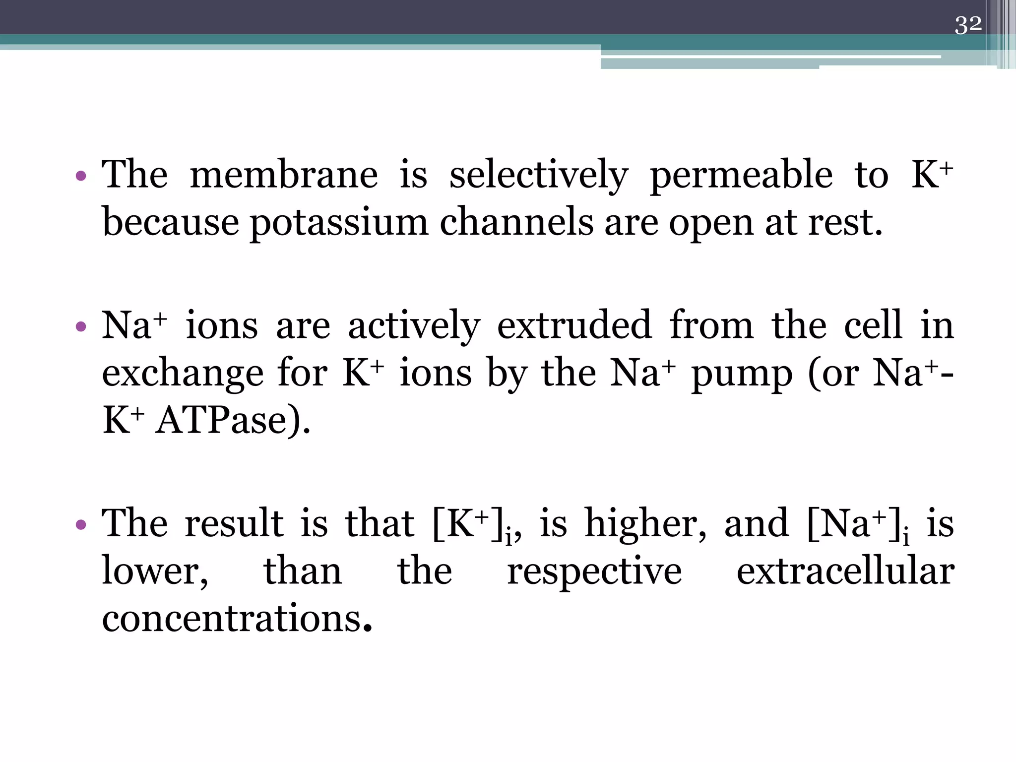 • The membrane is selectively permeable to K+
because potassium channels are open at rest.
• Na+ ions are actively extruded from the cell in
exchange for K+ ions by the Na+ pump (or Na+-
K+ ATPase).
• The result is that [K+]i, is higher, and [Na+]i is
lower, than the respective extracellular
concentrations.
32
 