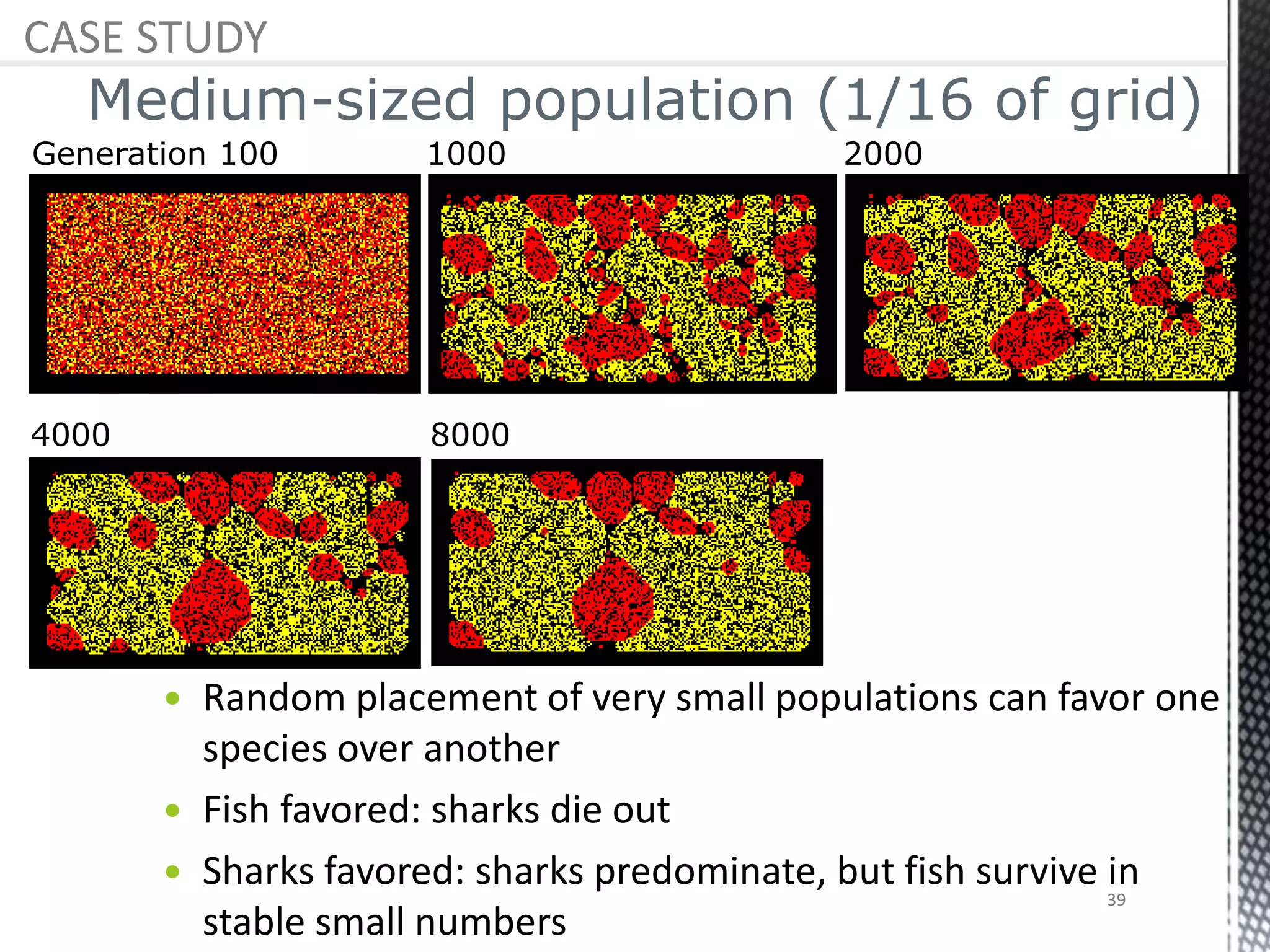 Generation 100 20001000
4000 8000
Medium-sized population (1/16 of grid)
 Random placement of very small populations can favor one
species over another
 Fish favored: sharks die out
 Sharks favored: sharks predominate, but fish survive in
stable small numbers
CASE STUDY
39
 