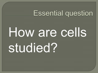  stated plants are composed of cellsDiscovery Of The CellTheodor Schwanncontributed to the cell theory