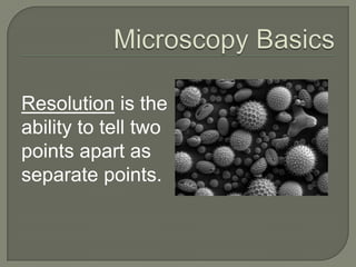 illnesses are due to malfunctioning of the cell