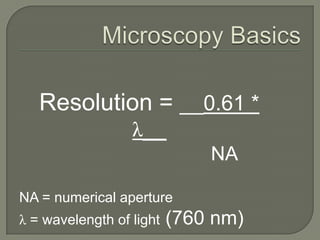 “Every cell comes from preexisting cell” Cell TheoryAll organisms are composed of cells.Cells are the basic unit of life.Cells come from preexisting cells.