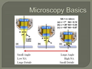 MicroscopyIt is the technical field of using microscopes to view samples or objects 