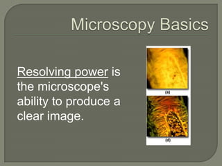 Microscopy BasicsMagnification is the process of enlarging an object only in appearance.
