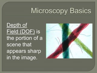 Microscopy BasicsResolutionis the ability to tell two points apart as separate points. 