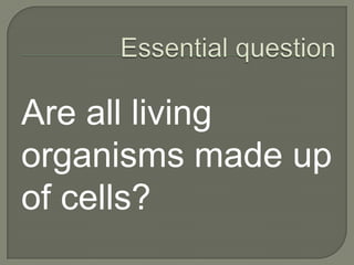 Essential questionAre all living organisms made up of cells?