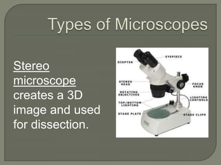 Microscopy Basics