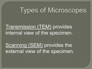Microscopy BasicsDepth of Field (DOF) is the portion of a scene that appears sharp in the image.