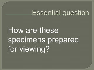 Essential questionWhat are the different types of microscopes?