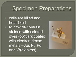 Types of MicroscopesOptical Microscope uses two lenses and visible light as the light source.