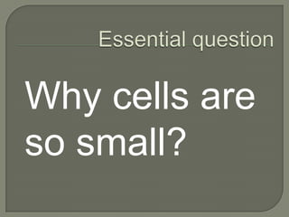 Types of MicroscopesElectron microscope uses a particle beam of electrons to illuminate a specimen. (2 types)