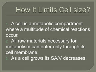 Essential questionHow are these specimens prepared for viewing?
